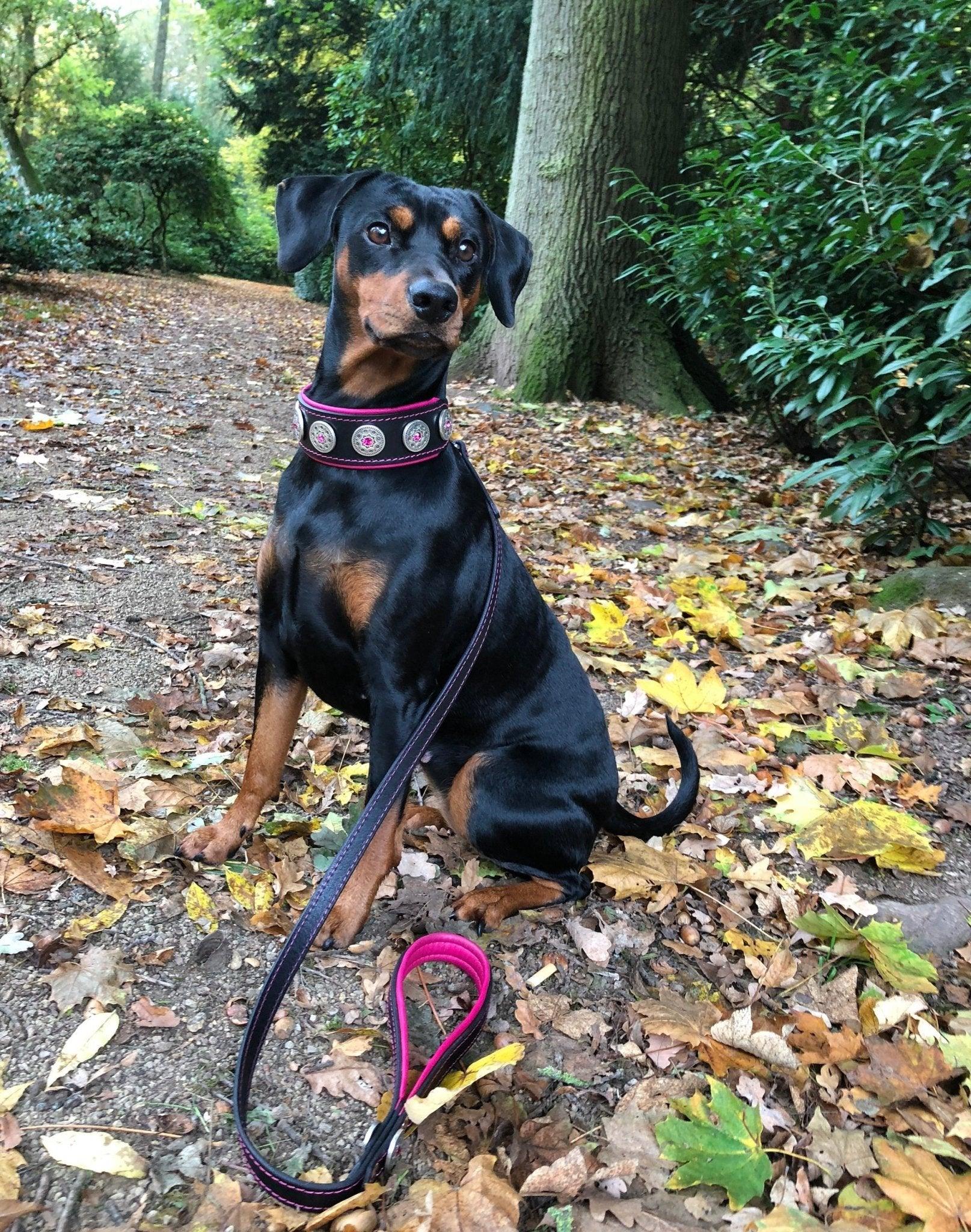 BESTIA Bijou Lederhalsband – Schwarz/Rosé