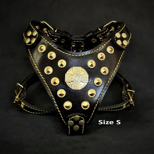 BESTIA Maximus Ledergeschirr – Schwarz/Gold