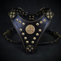 BESTIA Maximus Ledergeschirr – Schwarz/Gold